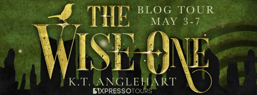 The Wise One by K.T. Anglehart – Excerpt + Giveaway